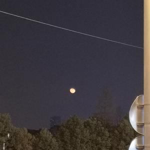 成人真实❌❌❌纯h
